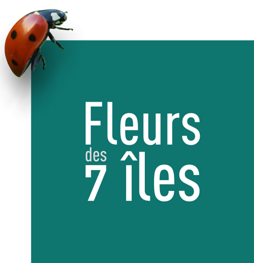 FLEURS DES 7 ÎLES