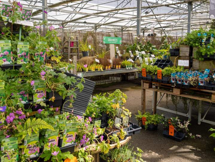 Fourniture plantes professionnels Plougoumelen