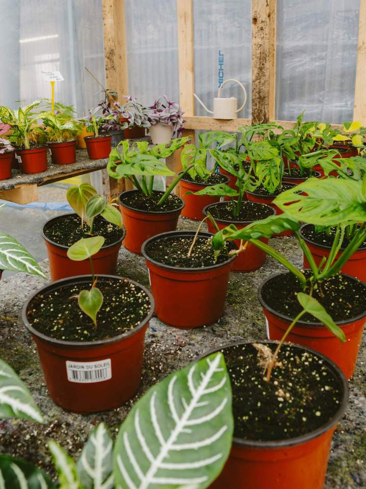 Matériel jardinage Plougoumelen