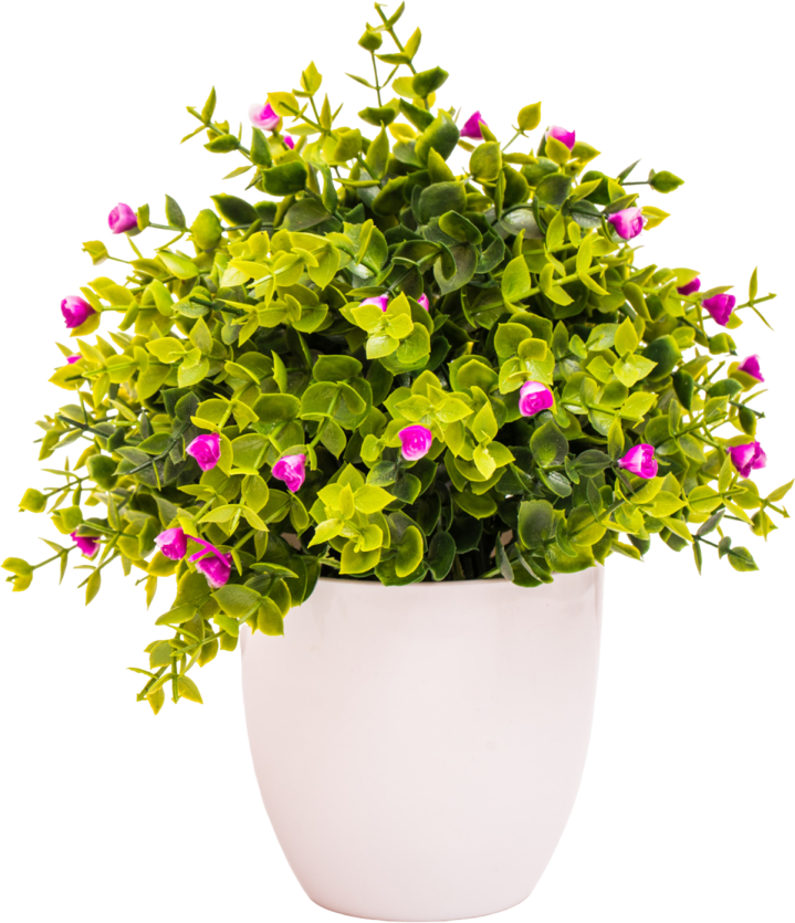 Fleuristes Plougoumelen