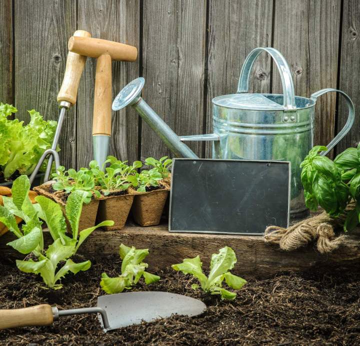 Outils, terreaux et accessoires indispensables au jardinier.