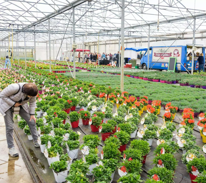 Fleuristes Plougoumelen