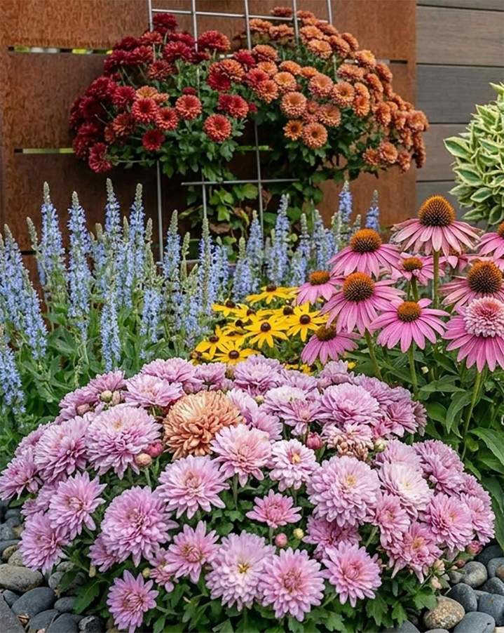 Production de plantes annuelles et bisannuelles Plougoumelen