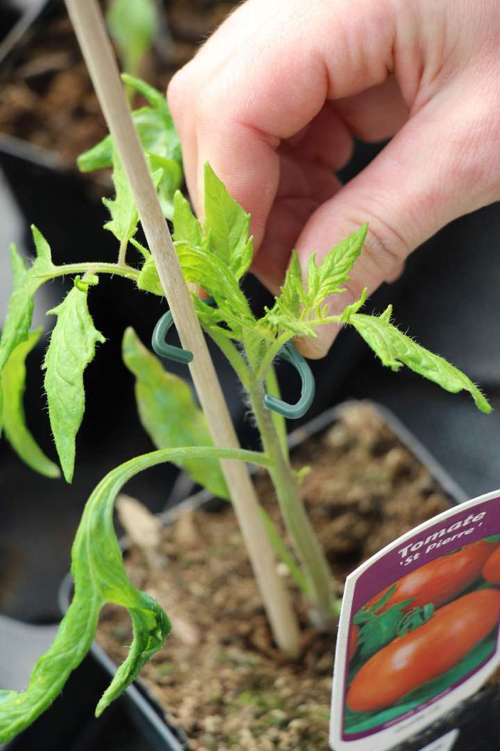 Nos créations à Plougoumelen