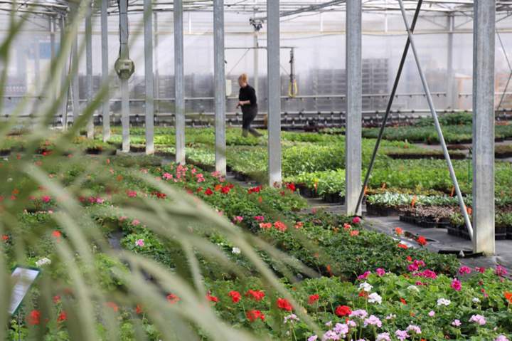 Nos réalisations à Plougoumelen