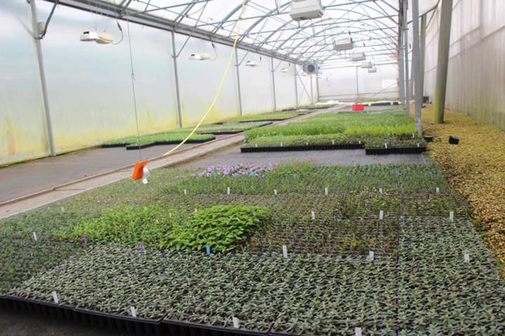 Nos réalisations à Plougoumelen