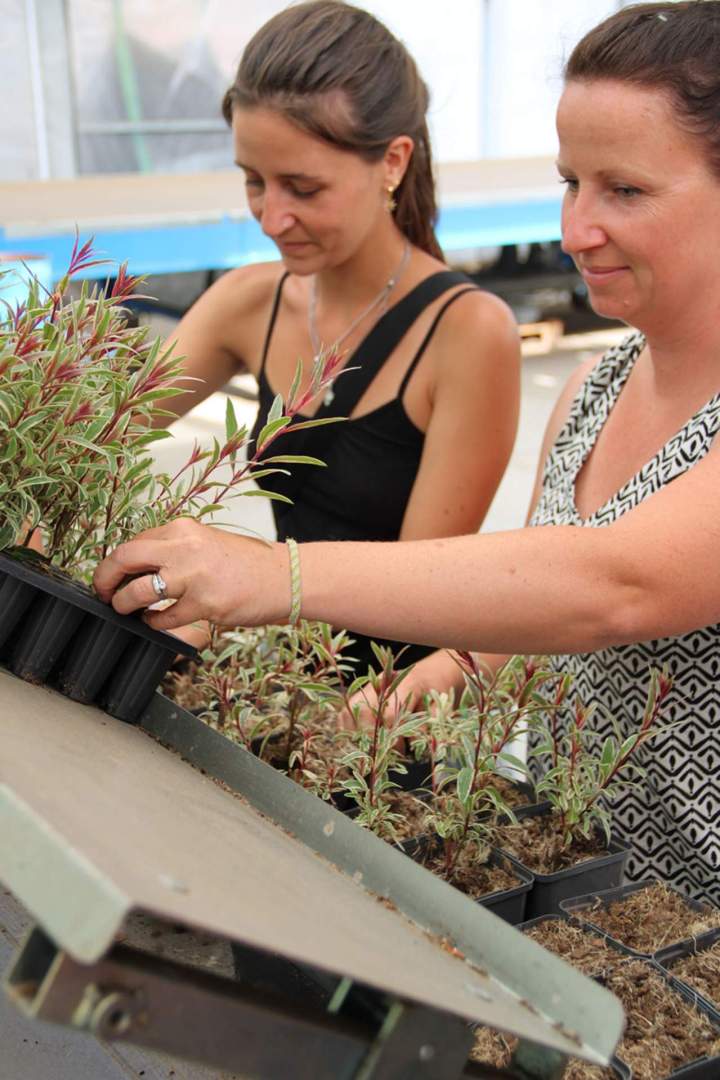 Notre groupe de spécialistes à Plougoumelen