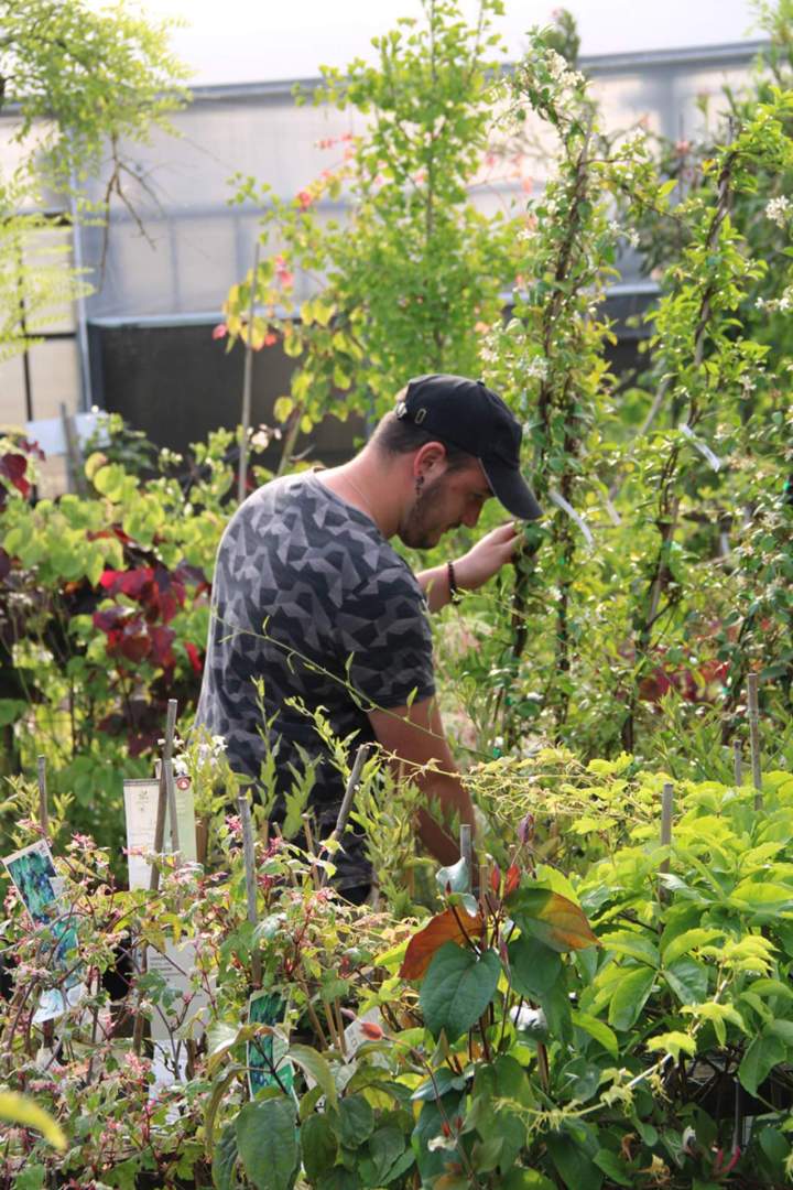 Production locale à Plougoumelen