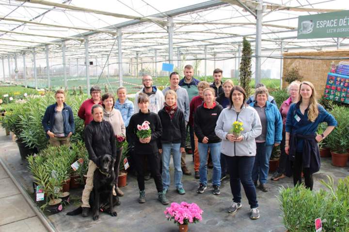 quipe professionnelle à Plougoumelen