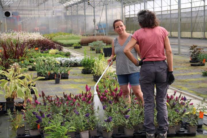 quipe professionnelle à Plougoumelen