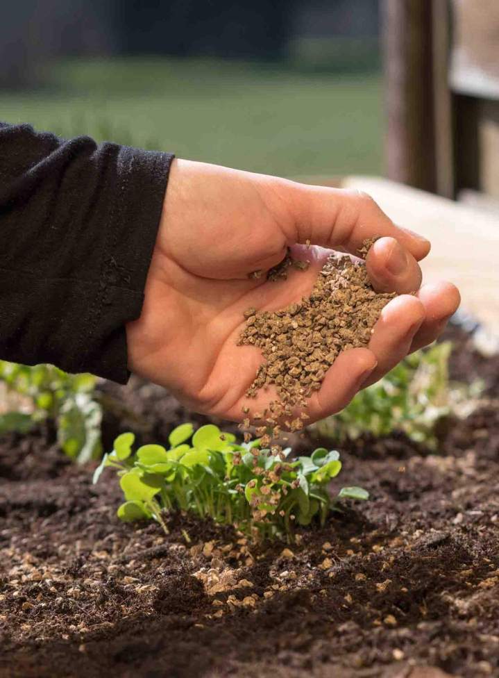 Engrais jardinage Plougoumelen