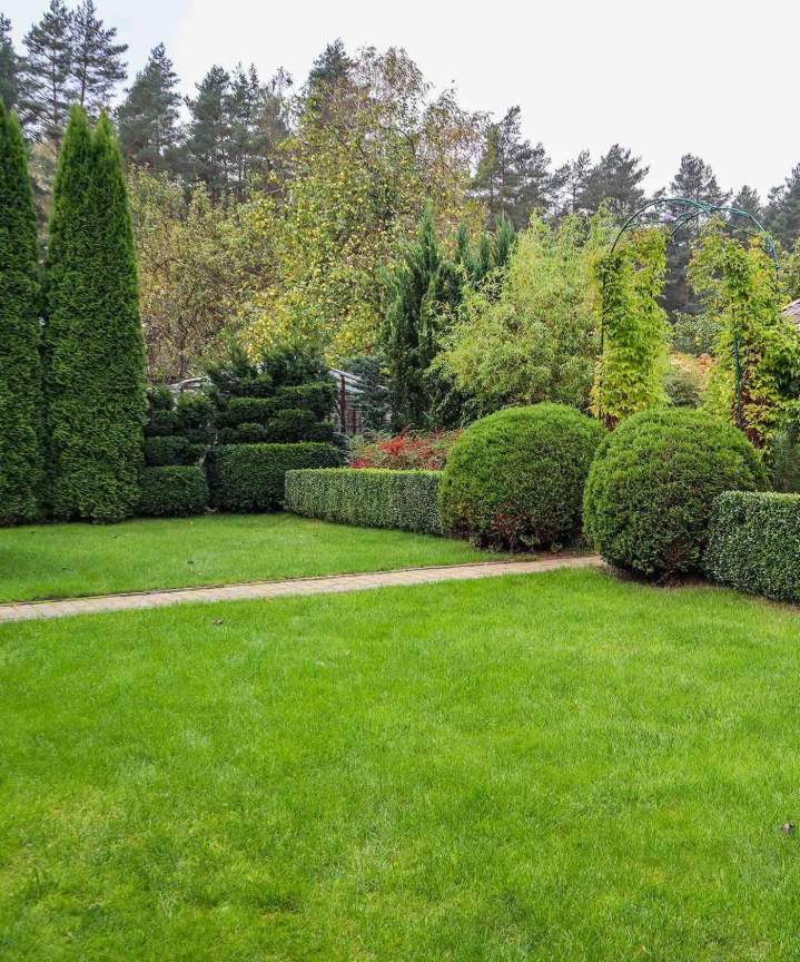 Pépinière arbres et arbustes d'ornement Plougoumelen