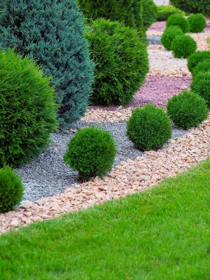 Arbustes d'ornement Plougoumelen